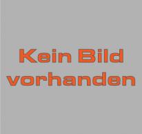 Diamantwerkzeug G 1153D zu PG 280
