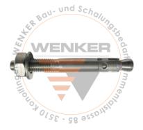 Bolzenanker, 100 Stk, M8 x 115 mm